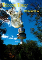 (3 M 43) Australia - ACT - Canberra Telecom Tower And Koala - Canberra (ACT)