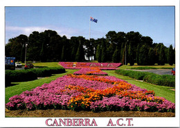 (3 M 43) Australia - ACT - City Hill (flowers) - Canberra (ACT)