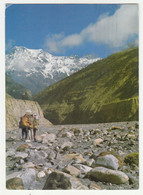 Kali Gandaki Valley Old Postcard Posted 1988 To Switzerland B221201 - Népal