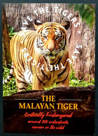 Malaysia Save The Malayan Tiger 2010 Wildlife Big Cat Tigers (postcard) MNH - Malaysia (1964-...)