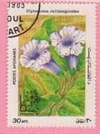 1985 AFGHANISTAN Posta Aerea Fiori Violet Trumpet Vine (Clytostoma Callistegioides) -  Usato - Afghanistan