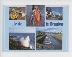 La Réunion, Scène De Pêche Dans La Région Saint Philippe Saint Pierre (multivues Métier Port Rocher Pêcheurs Marché) - Saint Pierre