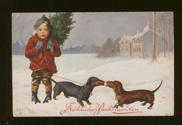 WALLY FIALKOWSKA Weihnachten Kind Mit 2 Dackeln Und Weihnachtsbaum  Tuck`s 1911 RAR ! - Autres & Non Classés