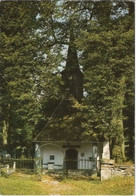 SAINT-VITH - Kapelle Wiesenbach - Oblitération De 1977 - Sankt Vith