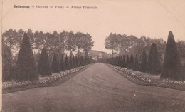 Bellecourt - Château Du Pachy - Avenue Principale - Manage