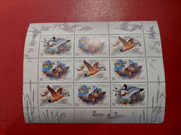 Geese Ducks 1989 Small Shett USSR - Oies