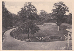 Centre De Cures - La Rimière - Vue Sur Le Parc - Neupre