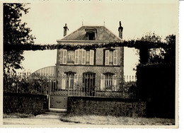 Photo Originale : HALEINE - Orne , Maison De Caractère Avec Sa Serre Situé Rue D'Alençon En 1935 ? . - Boats
