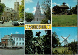 Overplet - Overpelt