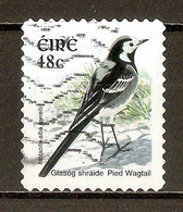 2003 - Oiseaux D'Irlande - Bergeronnette Grise (Motacilla Alba Yarrellii) - N°1548 - Usati