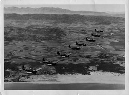 Aviation - Photo Ancienne - Avion DOUGLAS SBD Dauntless - Avions De Guerre En Vol - Militaria - 1939-1945: 2ème Guerre