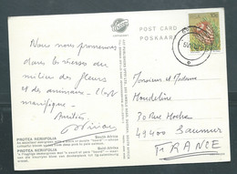 Timbre D'affrique Du Sud Au Dos D'une Carte Oblitéré En 1978 -   Maca 3756 - Storia Postale