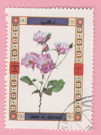 1972 UMM AL QIWAIN Posta Aerea Air Mail Flowers Fiori Rose - Obliterato Large Format - Umm Al-Qiwain