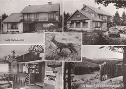 Un Bonjour De Losheimergraben - Café Buffalo-Bill - Kohnen-Schröder - Bullange - Büllingen