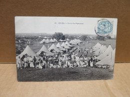 KOLEA COLEA (Algérie) Militaria Camp Du Pigeonier Animation - Other & Unclassified