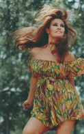 RAQUEL WELCH PHOTO POSTCARD (dic22)-rp - Femmes Célèbres