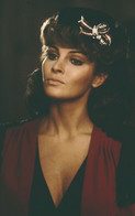 RAQUEL WELCH PHOTO POSTCARD (dic22)-rp - Femmes Célèbres