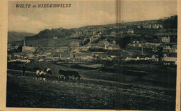 WILTZ Et NIEDERWILTZ   Edit. W.Capus Nr 209 - Wiltz