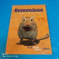 Heike Schmidt Röger - Rennmäuse - Animals