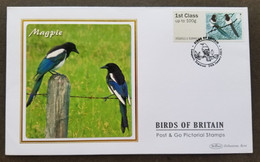 Britain Frama Label Magpie 2011 Fauna Birds Bird (machine ATM Stamp FDC) - Storia Postale