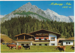 Mühlbach Am Hochkonig -Rasthütte  'Mitteregg-Alm' J. U. M. Mitteregger.  (1400 M) - Land Salzburg - (Österreich/Austria) - St. Johann Im Pongau