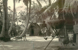 CPSM Guyane-Pli Bas Gauche       L1921 - Autres & Non Classés