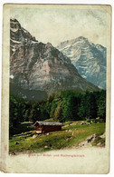 Blick Auf Mittel Und Ruchenglärnisch (chalet, Monts) Circulé 1908 - Other & Unclassified