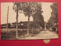 Haute-Marne. 52. Montigny Le Roi. Vue Générale Et Route De Meuse - Montigny Le Roi