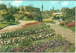 Torino (Piemonte) Parco Del Valentino, Esposizione Internazionale "Fiori Del Mondo 1961", Fioritura Di Tulipani - Parken & Tuinen