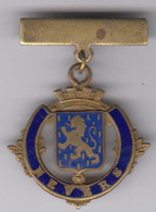 Médaille émaillée De NEVERS - Autres & Non Classés