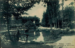 VENA D' ORO ( BELLUNO ) CADORE - GRAND HOTEL STAB. IDROTERAPICO - IL LAGHETTO - ED. BREVEGLIERI - 1910s (13300) - Chioggia