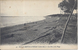 CPA  France   44  Loire Atlantique Entre St Brévin-L’Océan (Loire-Inf) Les Pins Et La Plage Oblitérée Le 14-8-1919 - Saint-Brevin-l'Océan