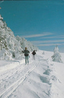 CPAM    CP 56   PAYSAGE DE NEIGE  ET SKI DE FOND - Waterski