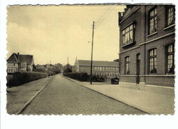 19. Heist-op-den-Berg Rijksmiddelbare School     ALBERT - Heist-op-den-Berg