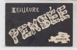B 5000 NAMUR, "Meilleure PENSEE", 1908 - Namur
