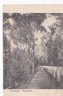 Delcampe - Brésil, Rio De Janeiro Corcovado Aqueducto - Rio De Janeiro