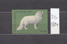 Poland Polish Matchbox Label, Match Label, Match Sticker, Animal Polar Fox, Arctic Fox (Vulpes Lagopus) (ds824) - Zündholzschachteletiketten