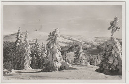 Feldberg, Baden-Württemberg - Feldberg