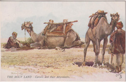 PALESTINE _ The Holy Land - Camels And Their Attendants  - Raphael Tuck Oilette Series 7311 - Palestine