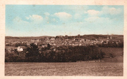 Blamont - Vue Générale Du Village - Blamont