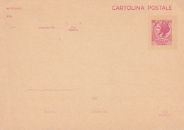 XK 132 - Cartolina Intero Postale  Siracusana Lire 40 Nuova - Interi Postali