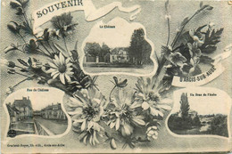 Arcis Sur Aube * Souvenir Du Village * Cpa 3 Vues - Arcis Sur Aube