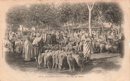 CPA Maison Carrée - Marché Au Betail - Moutons - Collection Ideale P S - Professioni