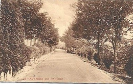 Portugal & Marcofilia, Pedras Salgadas, Avenida Do Parque, Cascais 1916 (12) - Vila Real