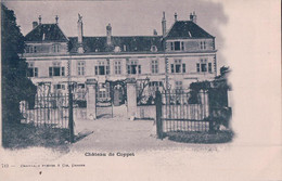 Coppet VD, Le Château, Résidence De Mme De Staël (charnaux 713) - Coppet