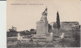 CHATEAUNEUF DU PAPE (84) - Monument Aux Morts - Bon état - Chateauneuf Du Pape