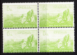 Serbia Kingdom 1915 Mi#130 Mint Never Hinged Piece Of 4 - Serbie