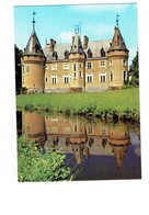 Cpm -  [18] Cher > Nançay - Le Château - - Nançay