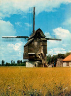 Wormhout * Le Moulin à Vent * Molen * Les Flandres - Wormhout