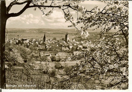 CP De ENDINGEN Am Kaiserstuhl - Endingen